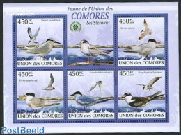 Comoros 2009 Sterns 5v M/s, Mint NH, Nature - Birds - Komoren (1975-...)