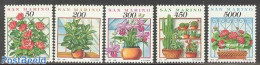 San Marino 1992 Houseplants 5v, Mint NH, Nature - Cacti - Flowers & Plants - Roses - Nuovi