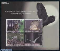 Tonga 2012 Airmail, Owls 4v M/s, Mint NH, Nature - Birds - Birds Of Prey - Owls - Other & Unclassified