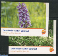 Netherlands 2014 Orchids From Gerendal, Presentation Pack 501a+b, Mint NH, Nature - Flowers & Plants - Orchids - Unused Stamps