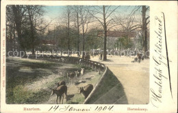 71757797 Haarlem Hertenkamp Tierpark Haarlem - Sonstige & Ohne Zuordnung