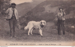 Y7-65) SCENES ET TYPES DES PYRENEES -  GUIDES ET CHIEN DE MONTAGNE - ( 2 SCANS ) - Other & Unclassified