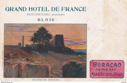 Y4-41) BLOIS - GRAND HOTEL DE FRANCE - PETIT PECNARD , Propriétaire - Vue De Venise - Anisette Marie Brizard & Roger - Blois