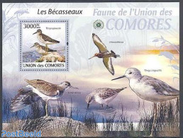Comoros 2009 Calidris S/s, Mint NH, Nature - Birds - Comoros