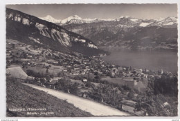 Y22- SIGRISWIL (THUNERSEE) MONCH JUNGFRAU  - ( OBLITERATION DE 1964 - 2 SCANS ) - Sonstige & Ohne Zuordnung