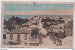 Y21-66) CANET PLAGE - AVENUE TIXADOR - ( 2 SCANS ) - Canet Plage