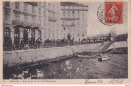 Y20- GENEVE - LES CYGNES  A L ' ILE ROUSSEAU  - 1907  - Andere & Zonder Classificatie