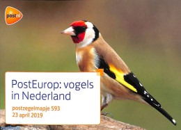 Netherlands 2019 Europa, Birds, Presentation Pack 593, Mint NH, History - Nature - Europa (cept) - Birds - Unused Stamps