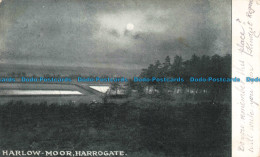 R675955 Harrogate. Harlow Moor. 1904 - Monde