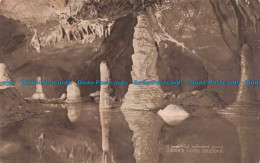 R678340 Cheddar. Gough Caves. A Beautiful Reflected Group. William Gough - Monde