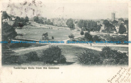 R675983 Tunbridge Wells From The Common. 1902 - World