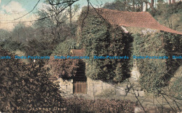 R676932 Jesmond Dene. Old Mill. The National Series. 1904 - World