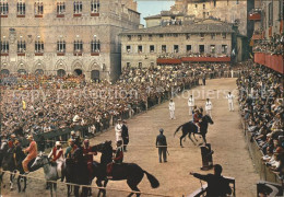 71741085 Siena Il Palio Particolare Della Mossa Pferde Siena - Autres & Non Classés