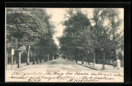 AK Karlsruhe, Blick In Die Westendstrasse  - Karlsruhe