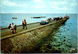 85 NOIRMOUTIER CPSM Format 10X15[REF/S56650] - Otros & Sin Clasificación