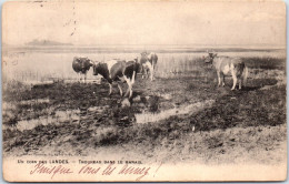 40 TYPES DES LANDES  Carte Postale Ancienne [JR07472] - Other & Unclassified