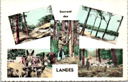 40 TYPES DES LANDES  Carte Postale Ancienne [JR07465] - Autres & Non Classés