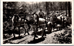 40 TYPES DES LANDES  Carte Postale Ancienne [JR07462] - Other & Unclassified