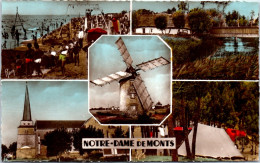 85 NOTRE DAME DE MONTS  Carte Postale Ancienne [JR07056] - Autres & Non Classés