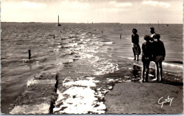 85 NOIRMOUTIER  Carte Postale Ancienne [JR07002] - Other & Unclassified