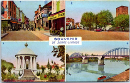 47 SAINTE LIVARDE  Carte Postale Ancienne [JR07643] - Autres & Non Classés