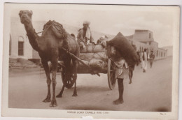 CP - PK - PC - Jemen Yemen - Aden - Maala Load Camels And Cart - Jemen