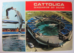 ITALIE - EMILIA-ROMAGNA - CATTOLICA - Seaquarium Dei Delfini - Andere & Zonder Classificatie