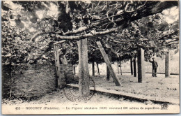 29 ROSCOFF  - Carte Postale Ancienne [JR01476] - Autres & Non Classés