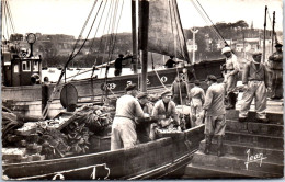 29 DOUARNENEZ  - Carte Postale Ancienne [JR02411] - Autres & Non Classés