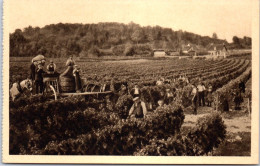 37 BOURGUEIL  - Carte Postale Ancienne [JR02183] - Altri & Non Classificati