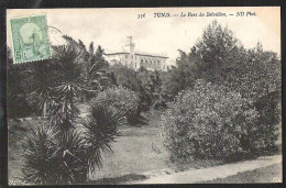TUNIS Le Parc Du Belvédère Envoyée Ca 1906 - Tunisie