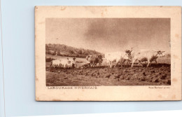 58 SCENES ET TYPES DU MORVAN  -carte Postale Ancienne [JR03458]  - Other & Unclassified