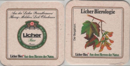 5006033 Bierdeckel Quadratisch - Licher - Beer Mats