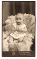 Fotografie R. Rosenkranz, Mügeln, Königstrasse 32, Baby Auf Einem Fell Sitzend  - Anonymous Persons