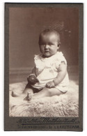 Fotografie M. Walther, Seifhennersdorf I. Sa., Baby Mit Ball Auf Einem Fell  - Anonymous Persons