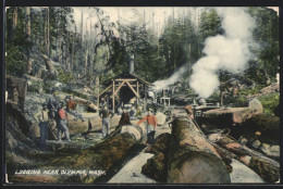 AK Logging Near Olympia, Wash, Forstarbeiter Mit Baumstämmen  - Autres & Non Classés