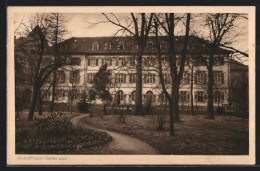 AK Freiburg I. Br., Erzbischöfl. Theolog. Konvikt, Ansicht Vom Garten Aus  - Freiburg I. Br.