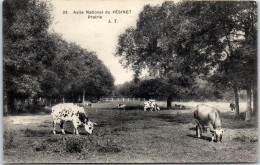 78 LE VESINET  -carte Postale Ancienne [JR04940]  - Autres & Non Classés