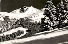 Lenk, Berner Oberland - Winterlandschaft Am Bühlberg (13363) * 13. 1. 1961 - Lenk Im Simmental