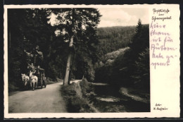 AK Postkutsche Im Gebirge Des Schwarzatals  - Post & Briefboten