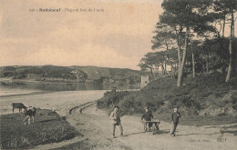 E843 Rothéneuf Plage Et Bois Du Lupin - Rotheneuf