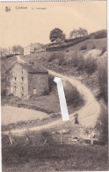 Corbion - Bouillon