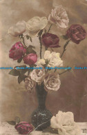 R676025 Roses. 1915 - World