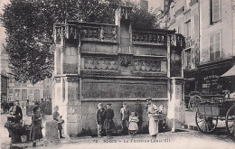 41 - BLOIS - La Fontaine Louis XII - Blois