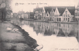 BRUGGE - BRUGES -  Les Cygnes Au Quai Long - Brugge