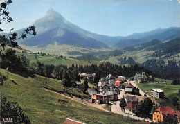 38 - Isere - SAINT PIERRE  De CHARTREUSE - Vue Generale Et Le Chamechaude - Andere & Zonder Classificatie