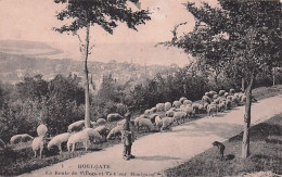 14 - HOULGATE - La Route Du Village Et Vue Sur Houlgate - Moutons Au Paturage - Houlgate