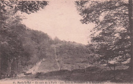 78 - MARLY Le ROI - Un Coin De La Foret - Les Tirés Du Président De La République - Marly Le Roi