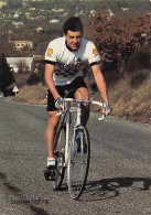 Cyclisme - Stephen Roche, Champion Cycliste Irlandais - Team Peugeot - Cyclisme