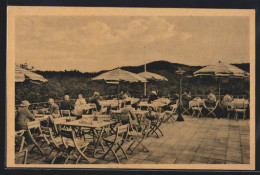 AK Rothenburg Im Kyffhäuser, Terrasse Mit Aussicht  - Kyffhaeuser